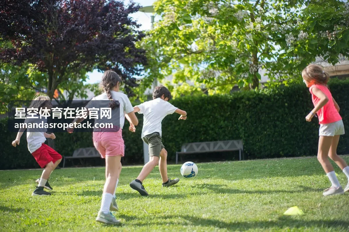星空体育在线官网赛场数据背景图